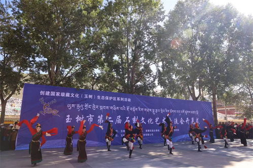 玉樹市第二屆石刻文化藝術(shù)交流會(huì)開幕